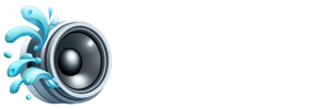 Fix my speaker Cleaner